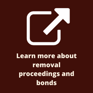 Learn more about removal proceedings and bonds